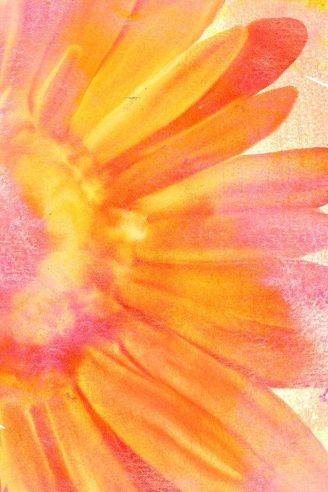 Blooming Bright art print by Kimberly Allen for $57.95 CAD