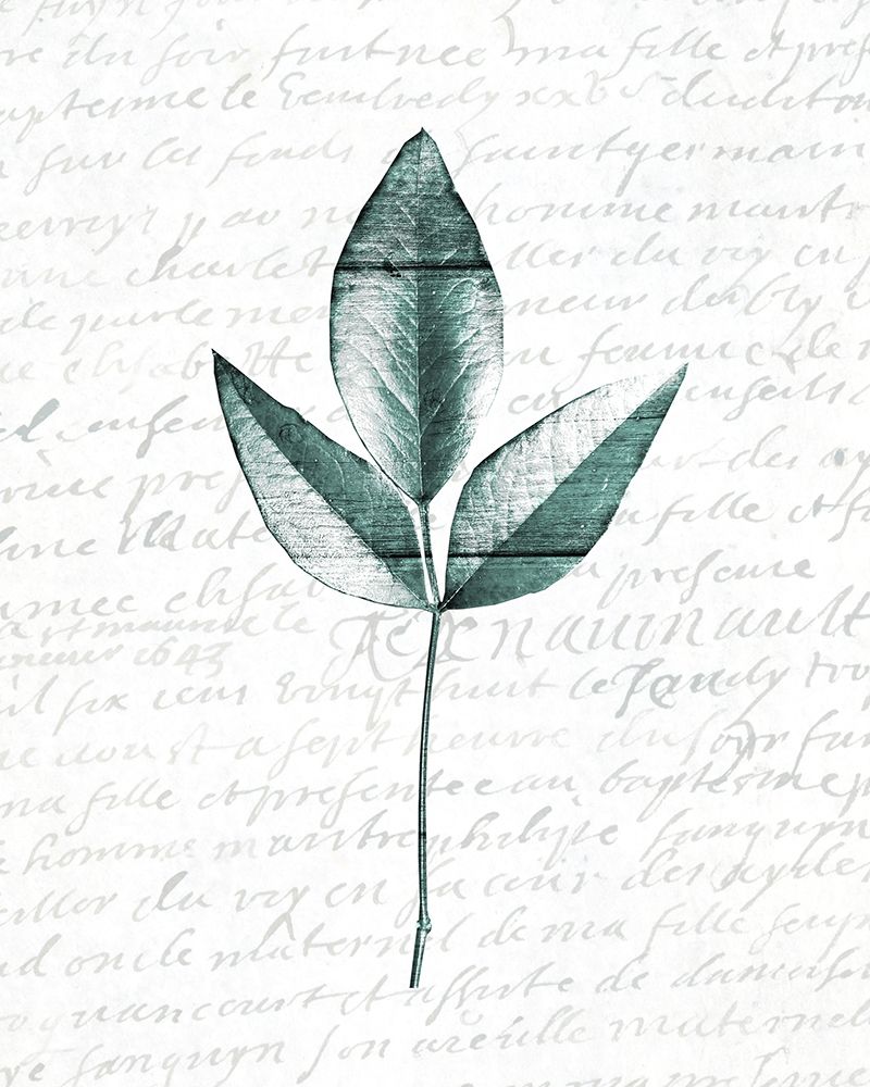 Pressed Leaves 2 art print by Kimberly Allen for $57.95 CAD