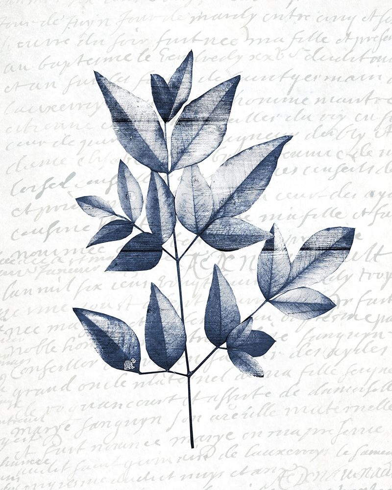 Pressed Leaves 1 art print by Kimberly Allen for $57.95 CAD