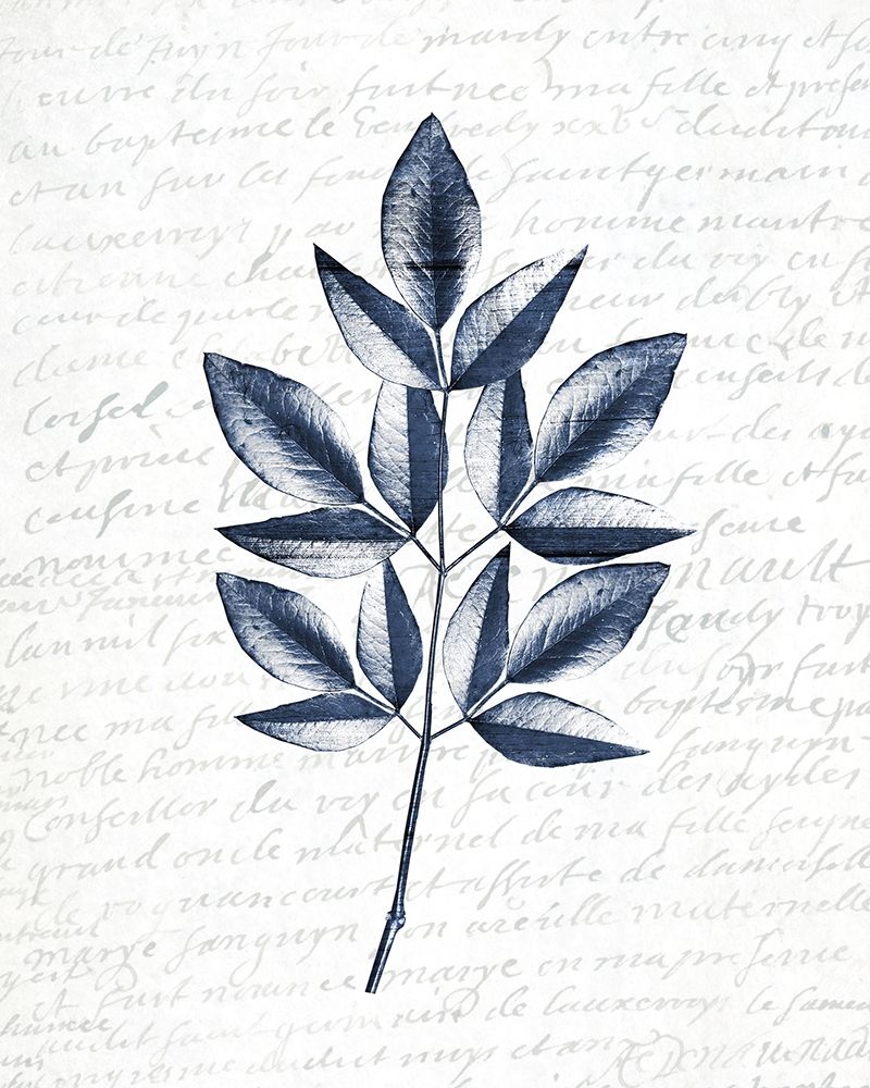 Pressed Leaves 3 art print by Kimberly Allen for $57.95 CAD