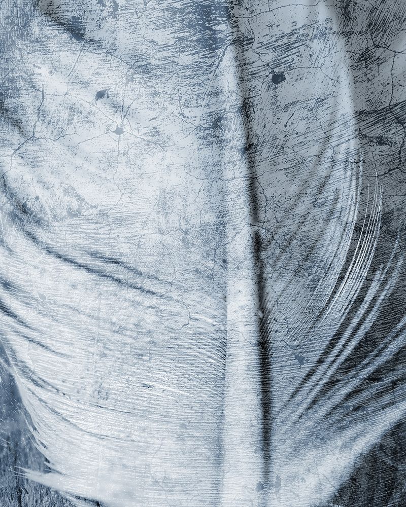 Up Close Feather 1 art print by Kimberly Allen for $57.95 CAD