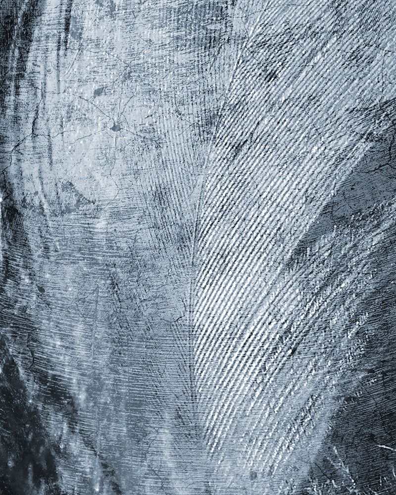 Up Close Feather 2 art print by Kimberly Allen for $57.95 CAD
