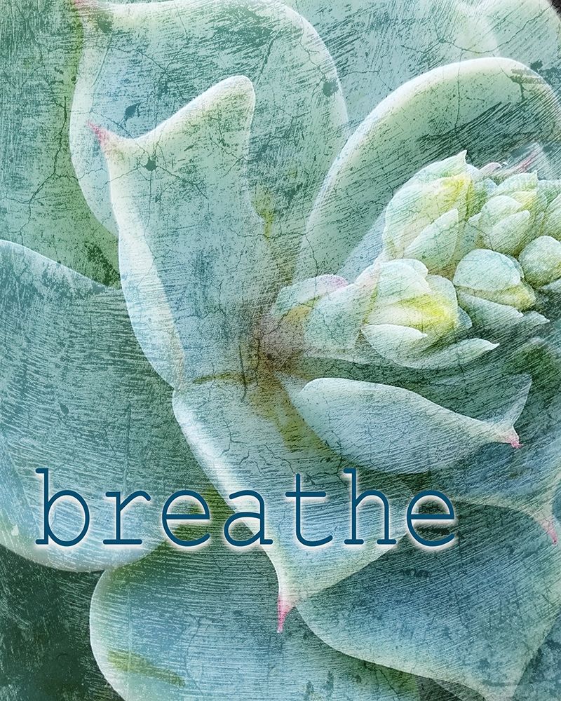 Relax and Breathe 2 art print by Kimberly Allen for $57.95 CAD