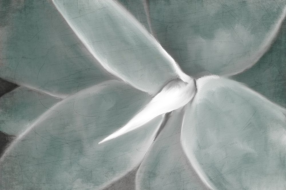 Succulent Center art print by Kimberly Allen for $57.95 CAD