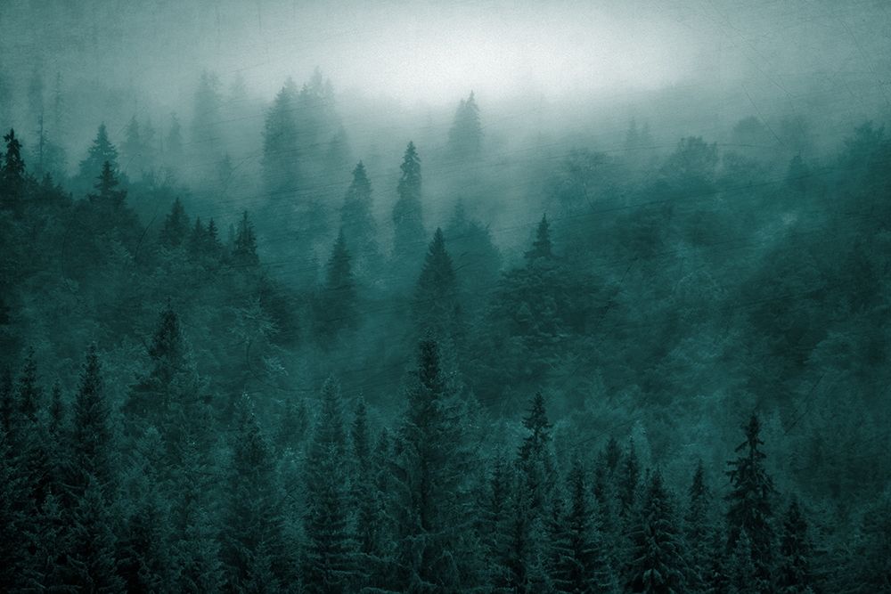 Emerald Forest art print by Kimberly Allen for $57.95 CAD