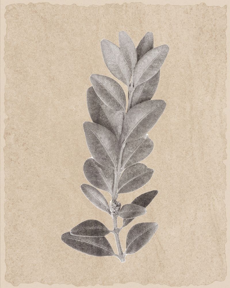 Blue Leaf Print 2 art print by Kimberly Allen for $57.95 CAD