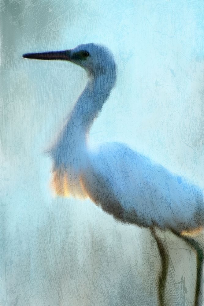 Blue art print by Kimberly Allen for $57.95 CAD
