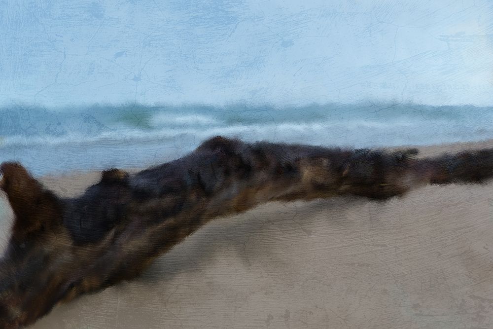 Driftwood art print by Kimberly Allen for $57.95 CAD