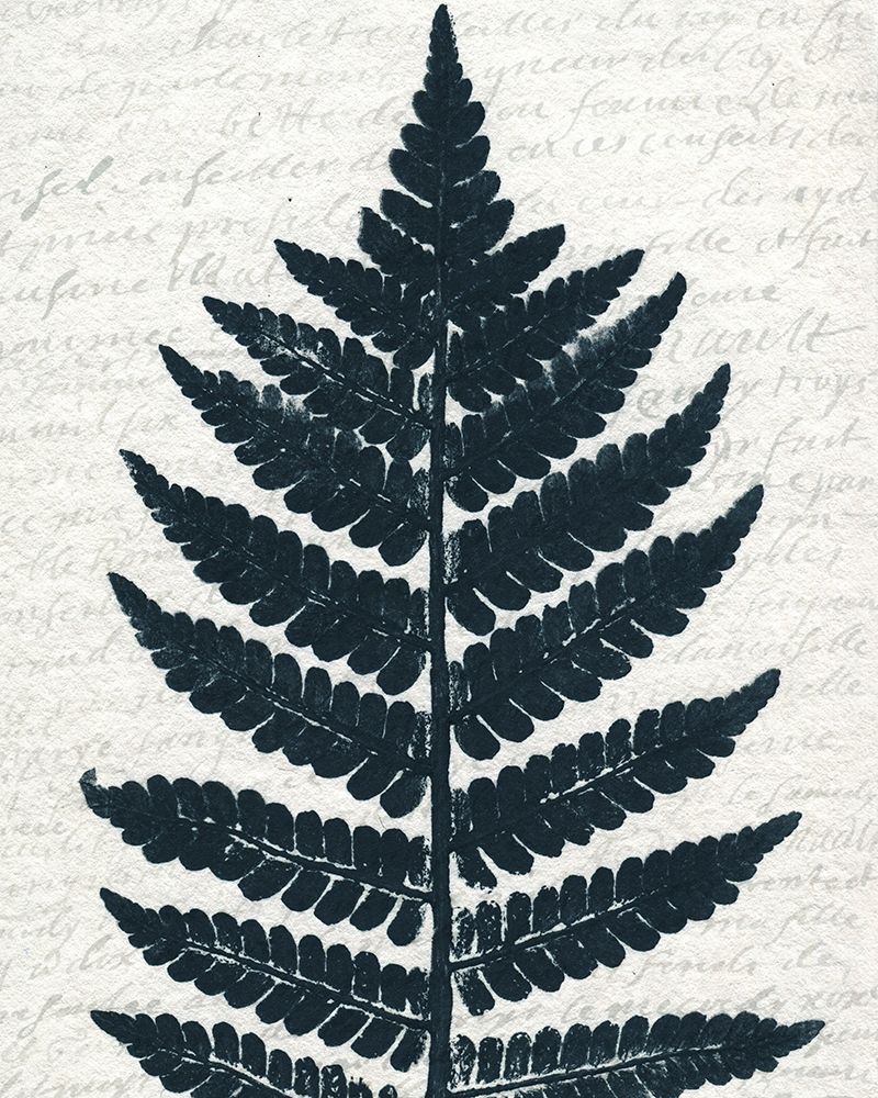 Pressed Leaf 1 art print by Kimberly Allen for $57.95 CAD
