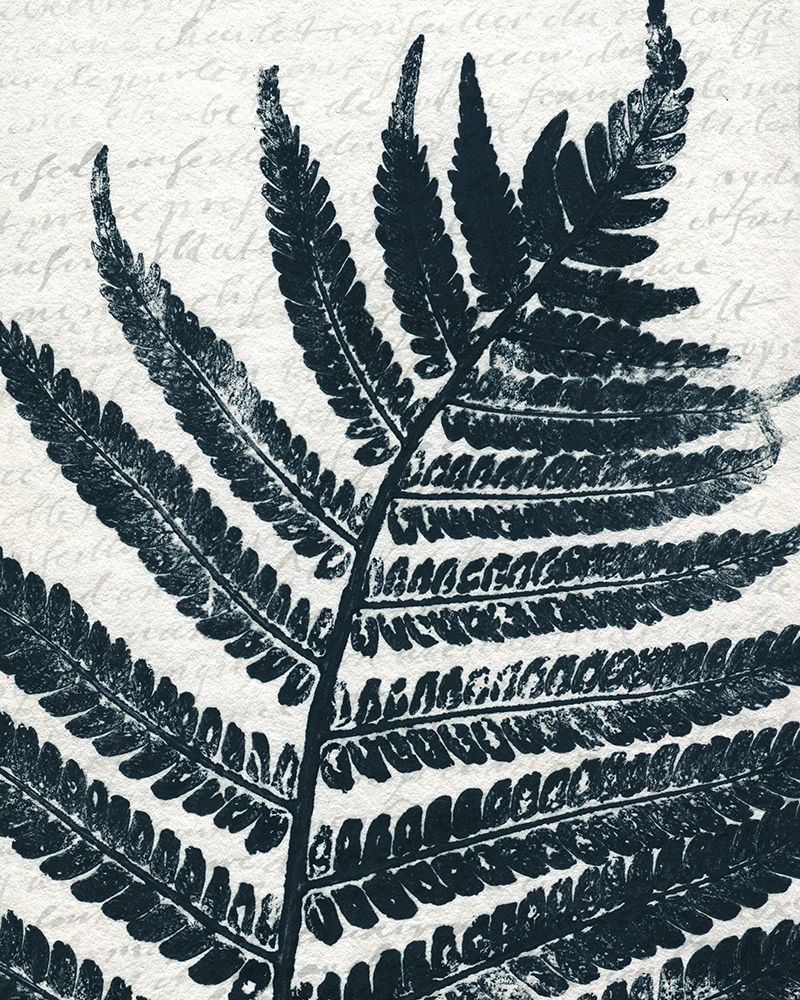 Pressed Leaf 2 art print by Kimberly Allen for $57.95 CAD