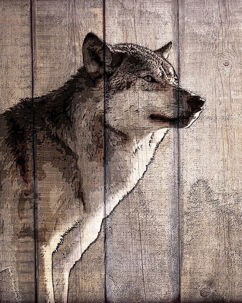 Into the Woods 2 art print by Kimberly Allen for $57.95 CAD