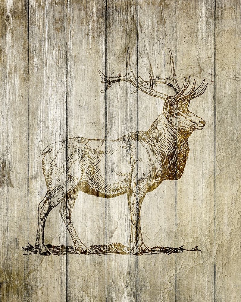 Standing Elk art print by Kimberly Allen for $57.95 CAD