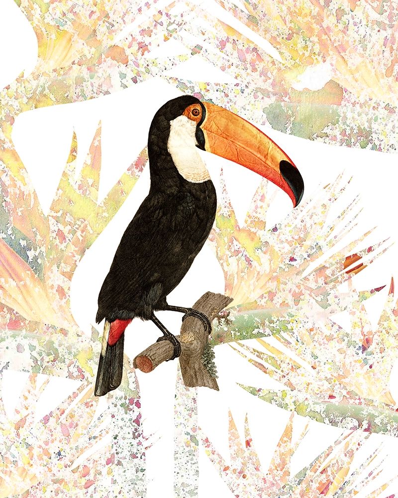 Toucan art print by Kimberly Allen for $57.95 CAD
