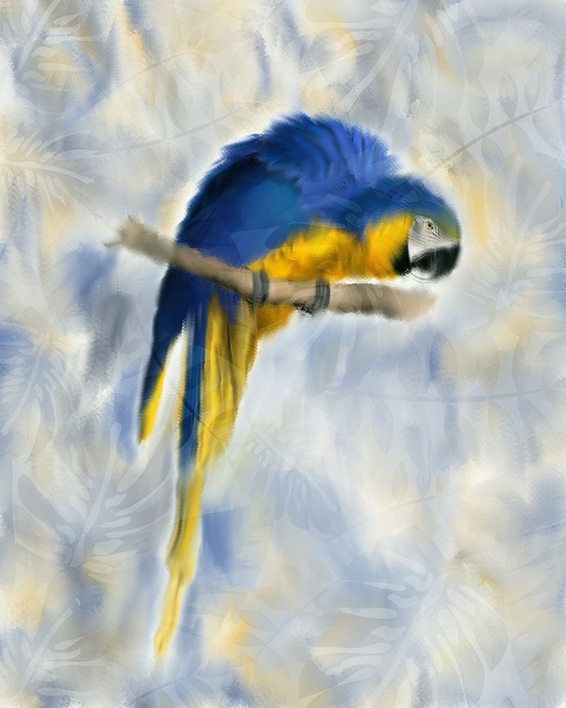 Parrot 1 art print by Kimberly Allen for $57.95 CAD