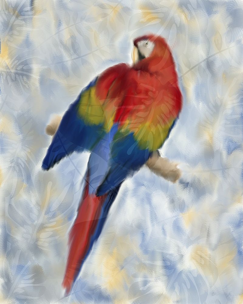 Parrot 2 art print by Kimberly Allen for $57.95 CAD