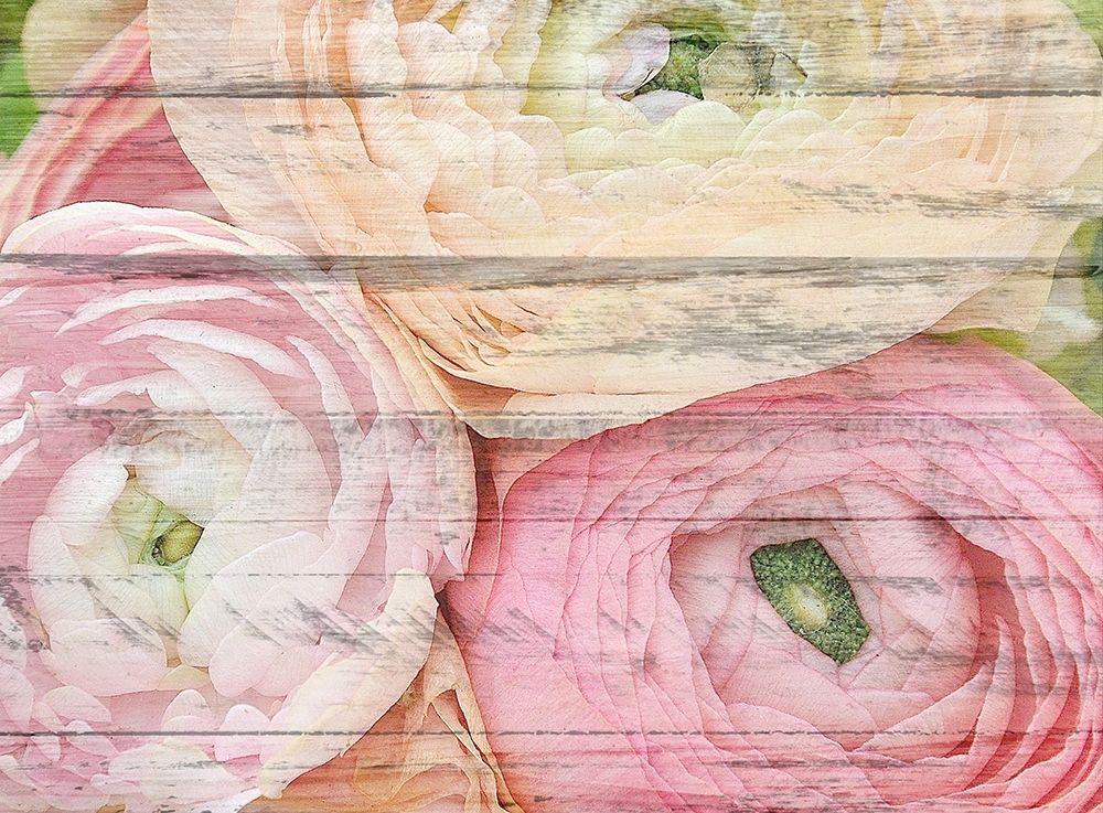 Pastel Three art print by Kimberly Allen for $57.95 CAD