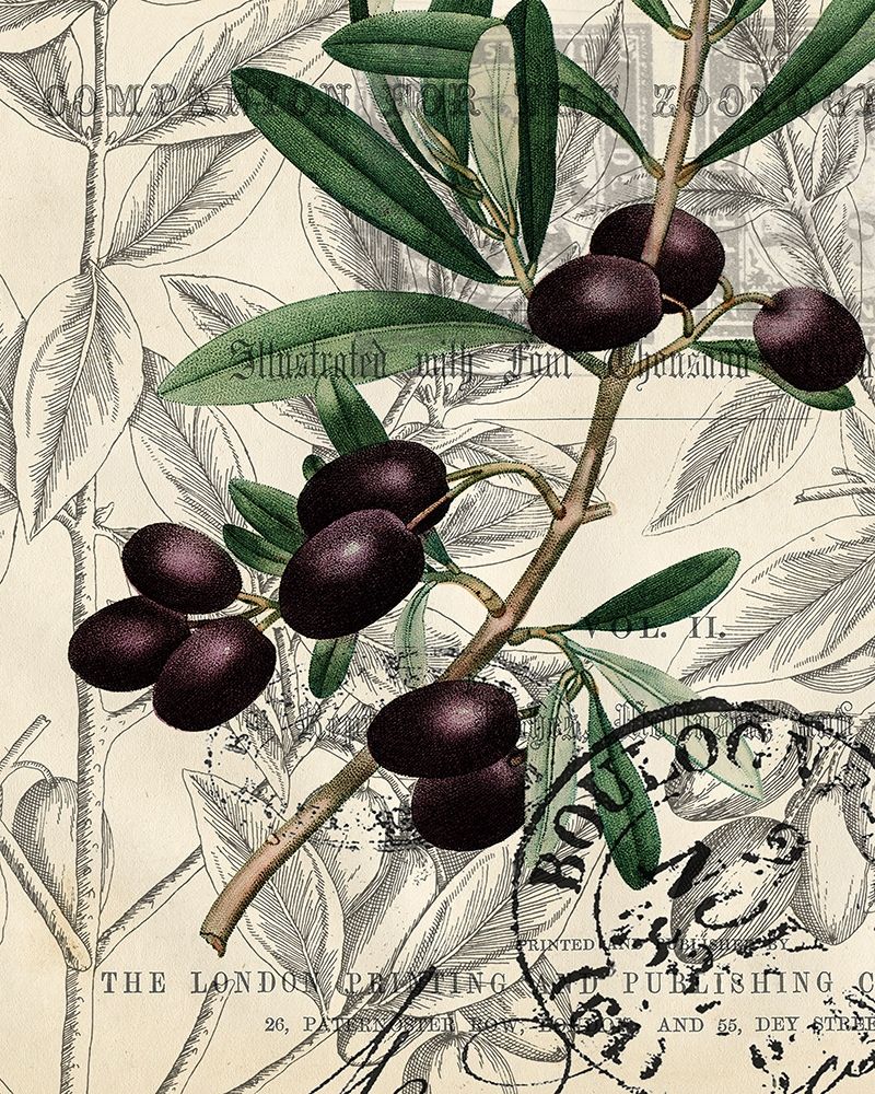 Olive Love 1 art print by Kimberly Allen for $57.95 CAD