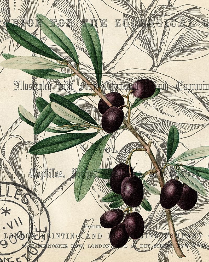 Olive Love 2 art print by Kimberly Allen for $57.95 CAD