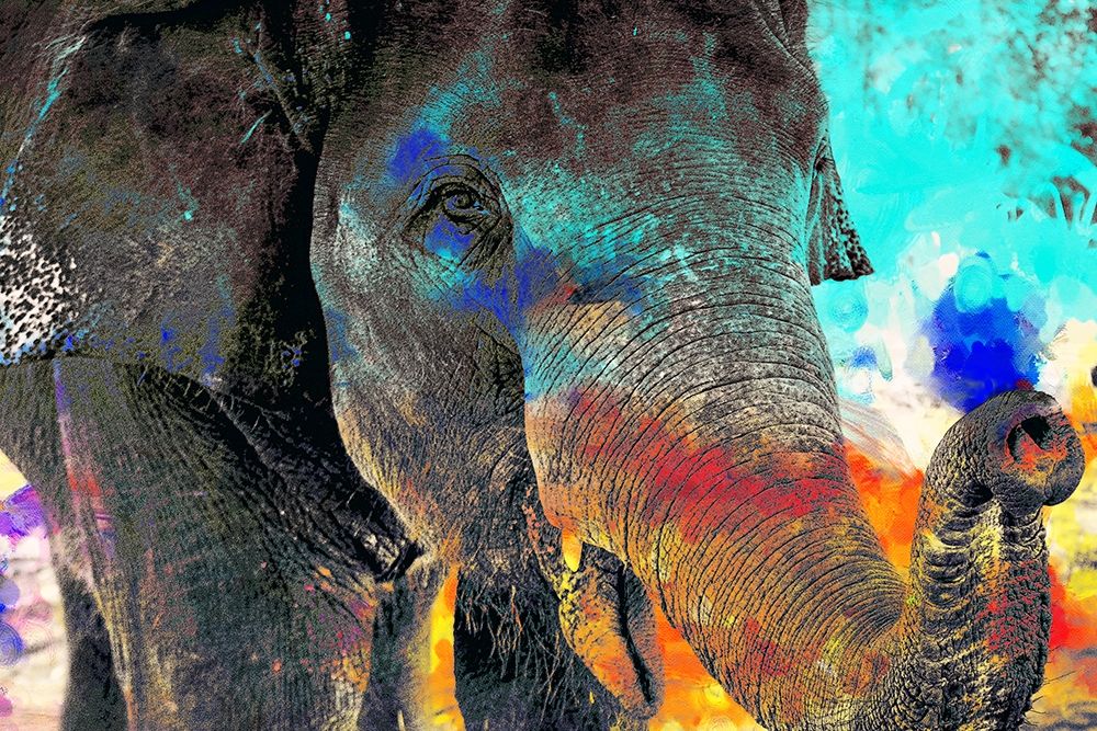 True Colors art print by Kimberly Allen for $57.95 CAD