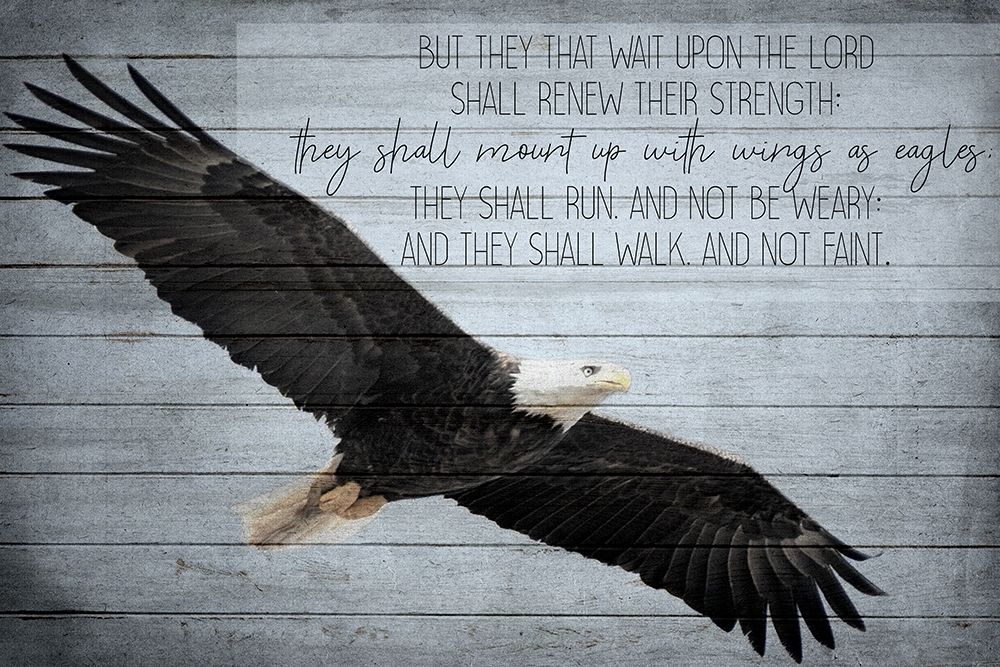 Wings as Eagles art print by Kimberly Allen for $57.95 CAD