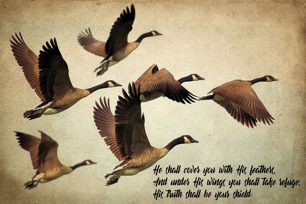 His Wings art print by Kimberly Allen for $57.95 CAD