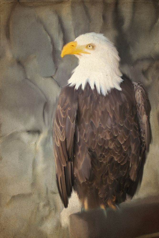 Perched art print by Kimberly Allen for $57.95 CAD