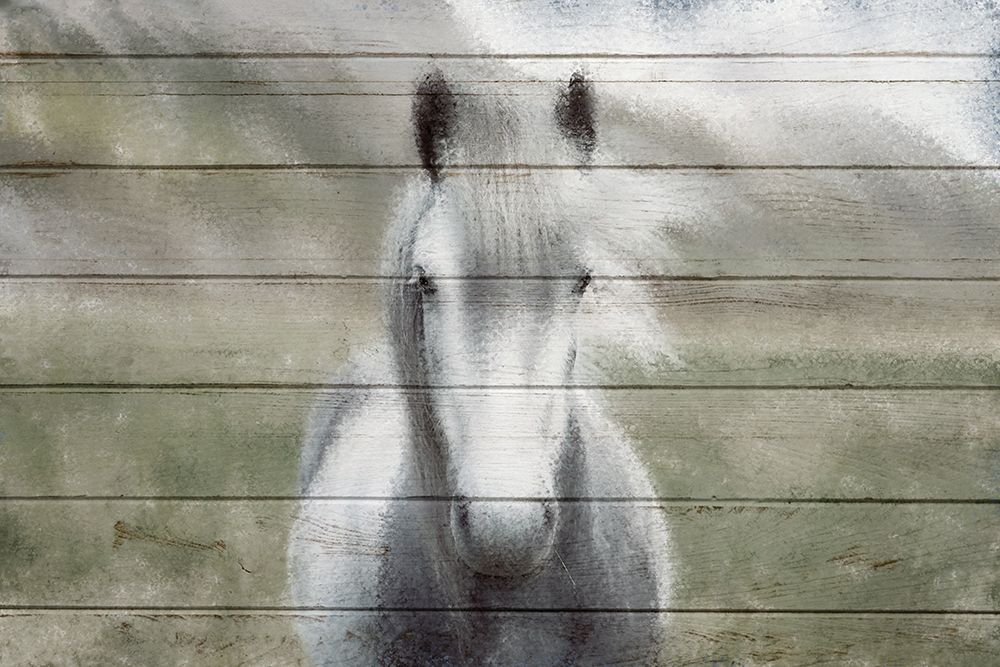 Wild art print by Kimberly Allen for $57.95 CAD