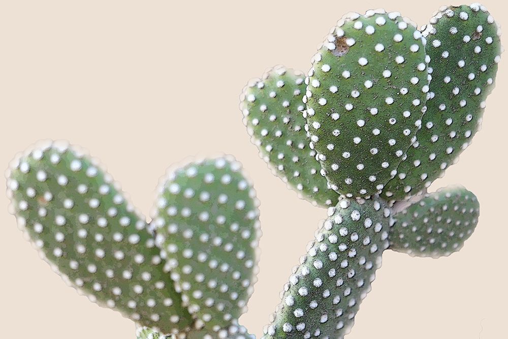 Blush Cactus 1 art print by Kimberly Allen for $57.95 CAD