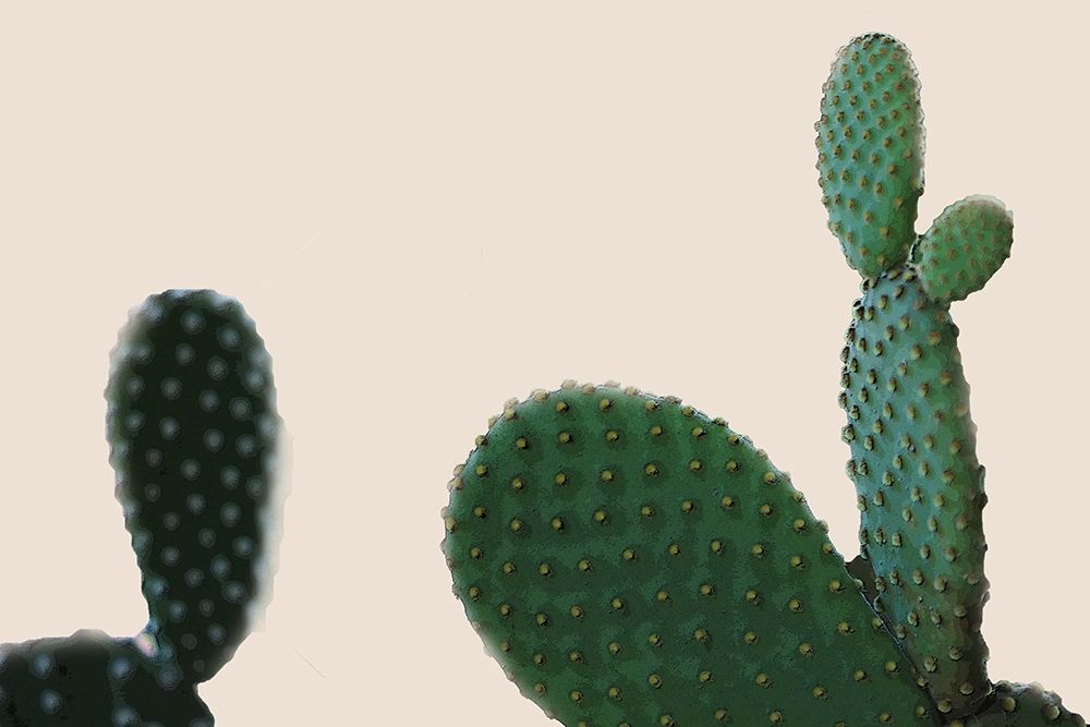 Blush Cactus 2 art print by Kimberly Allen for $57.95 CAD