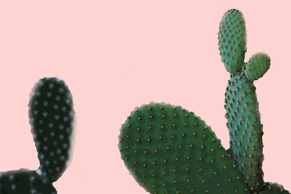 Blush Cactus 2 v2 art print by Kimberly Allen for $57.95 CAD