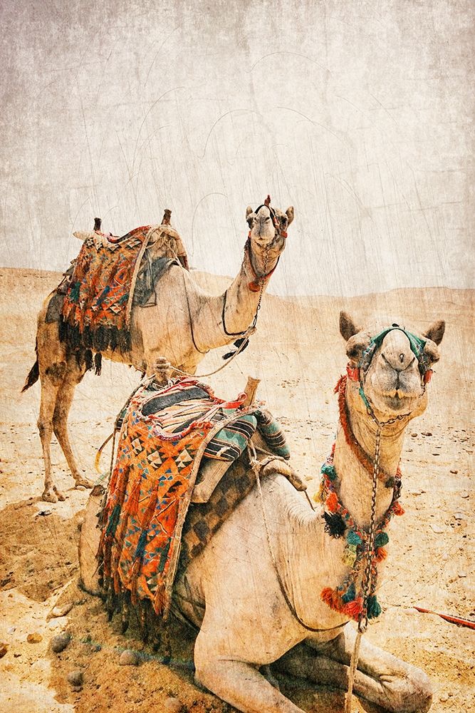 At rest art print by Kimberly Allen for $57.95 CAD