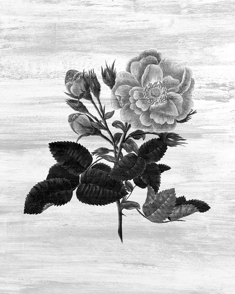 Botanical Flower 1 art print by Kimberly Allen for $57.95 CAD