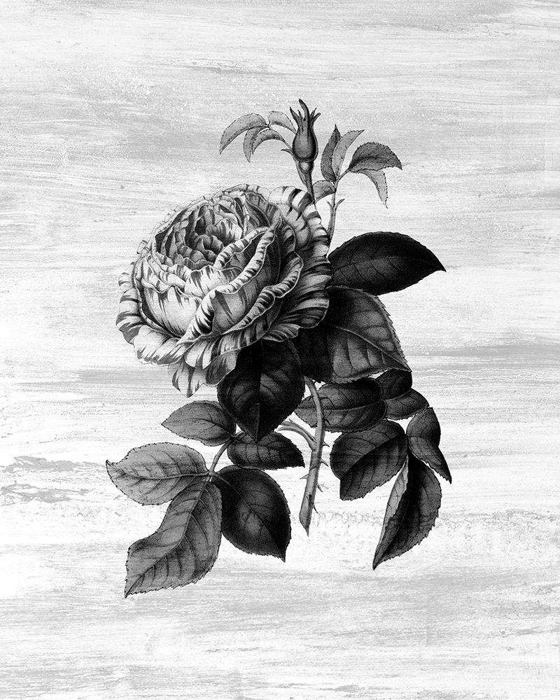 Botanical Flower 2 art print by Kimberly Allen for $57.95 CAD