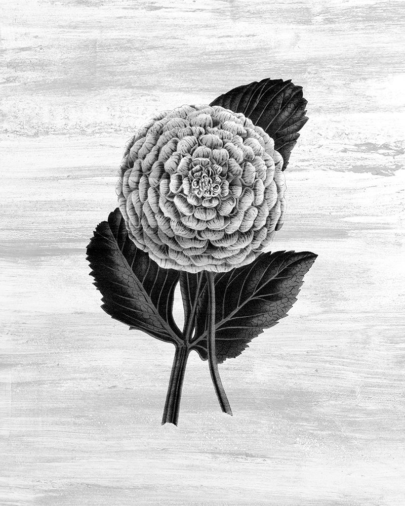 Botanical Flower 3 art print by Kimberly Allen for $57.95 CAD