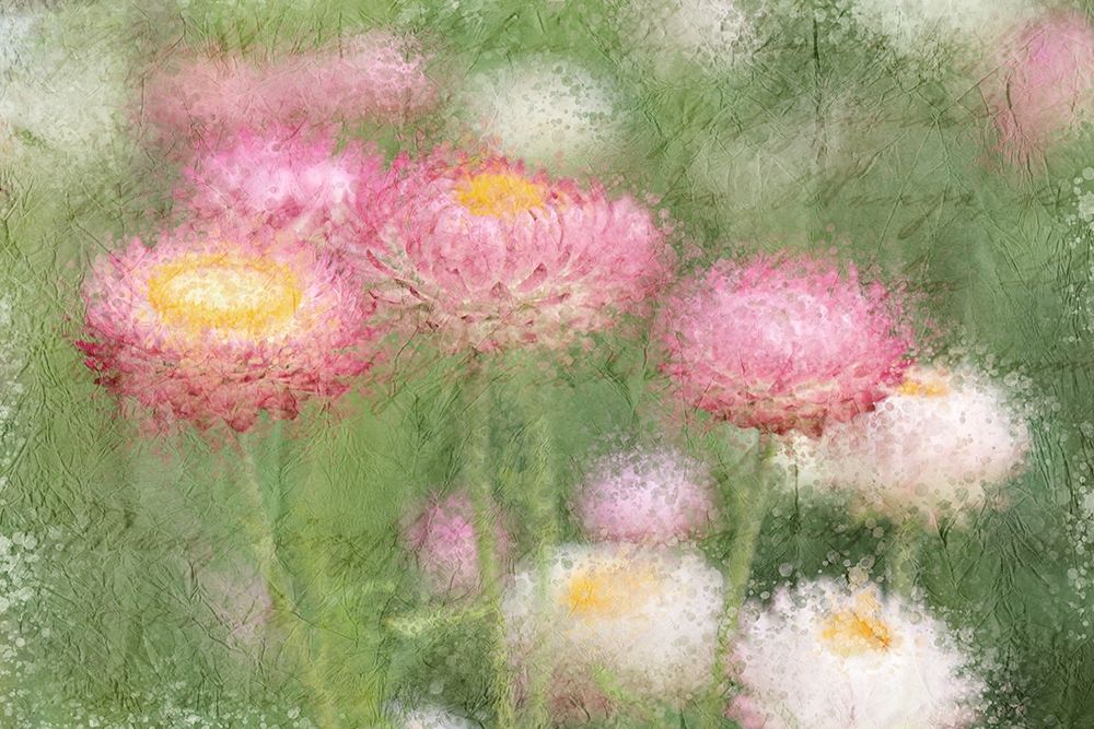 Pink Wild art print by Kimberly Allen for $57.95 CAD