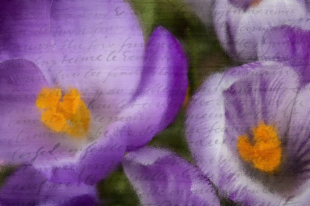 Purple Days art print by Kimberly Allen for $57.95 CAD