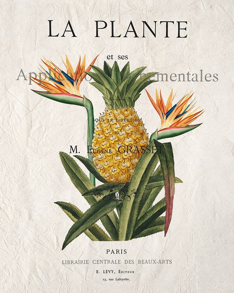 La Plante art print by Kimberly Allen for $57.95 CAD