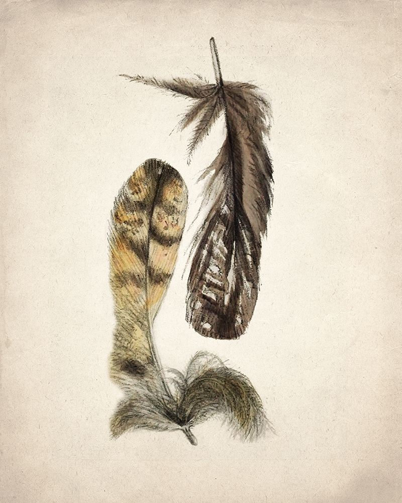 Natural 1 art print by Kimberly Allen for $57.95 CAD