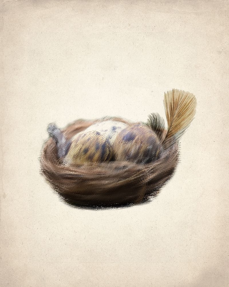 Natural 2 art print by Kimberly Allen for $57.95 CAD