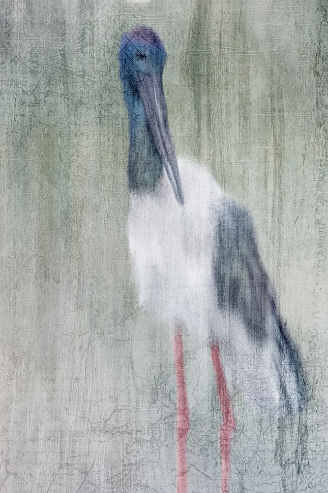 Exotic art print by Kimberly Allen for $57.95 CAD