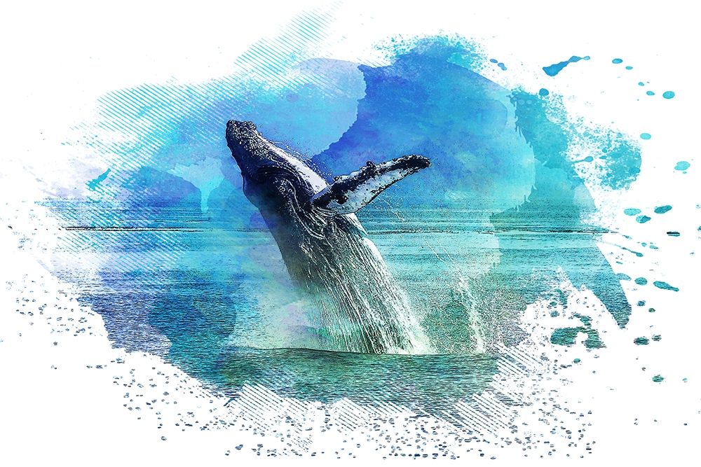 Splash 1 art print by Kimberly Allen for $57.95 CAD