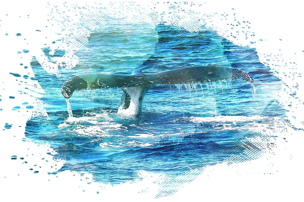 Splash 2 art print by Kimberly Allen for $57.95 CAD