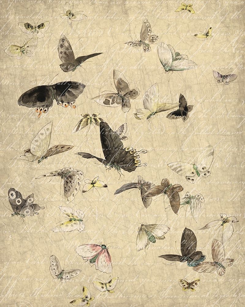 Butterflies in Flight 1 art print by Kimberly Allen for $57.95 CAD
