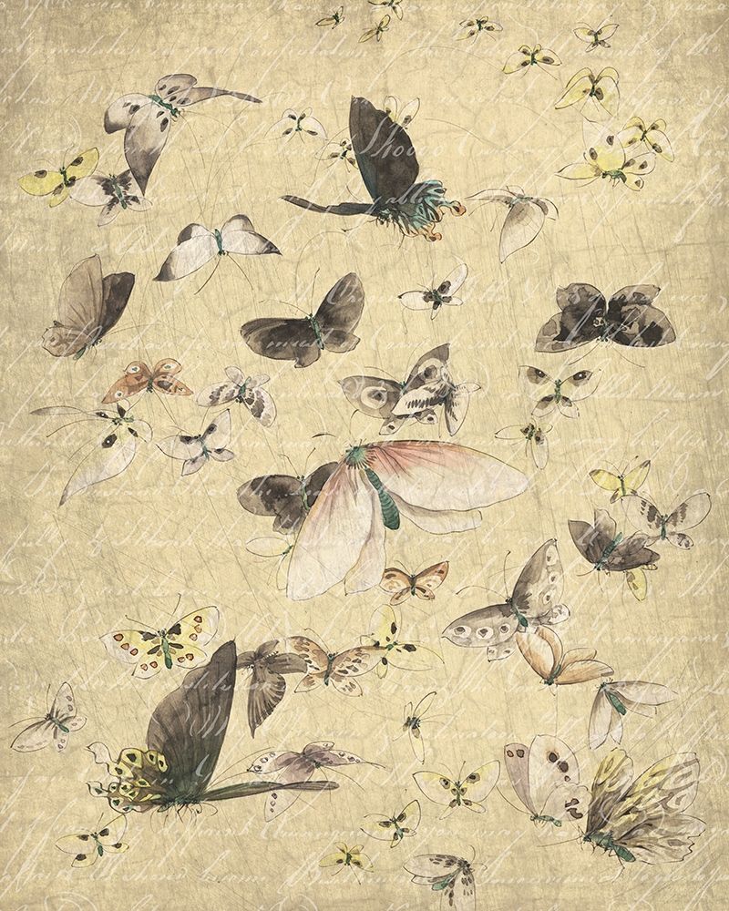 Butterflies in Flight 2 art print by Kimberly Allen for $57.95 CAD