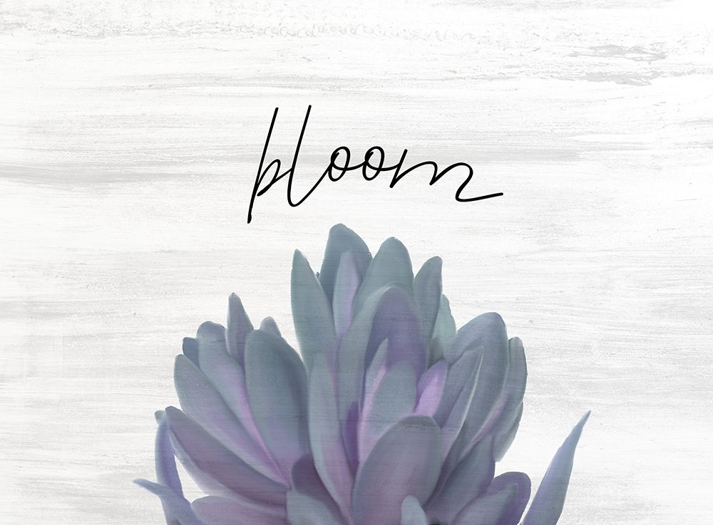 Bloom art print by Kimberly Allen for $57.95 CAD