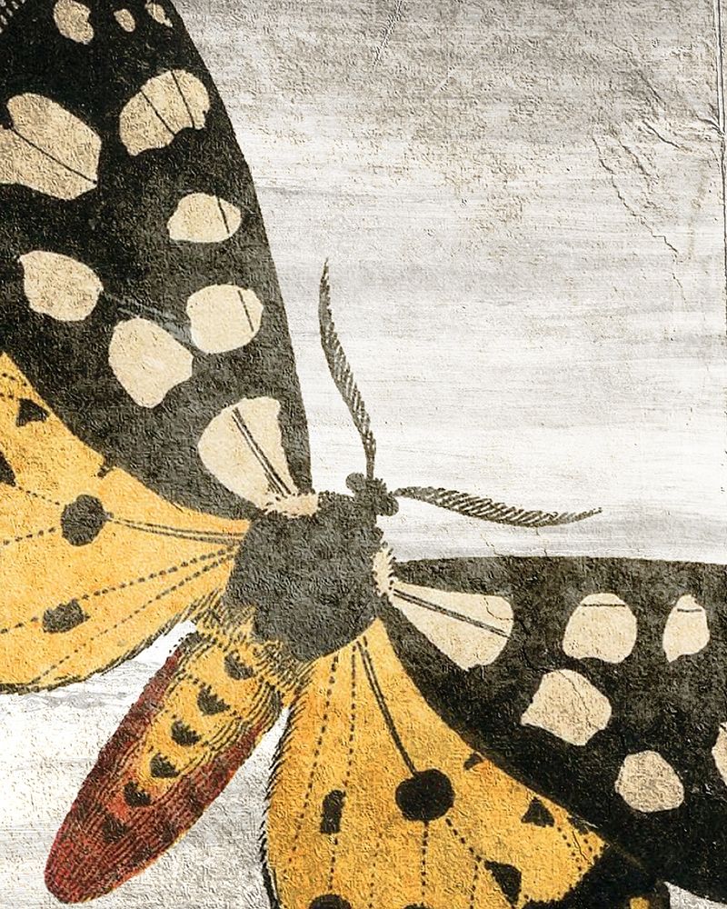 Vintage Butterfly 1 art print by Kimberly Allen for $57.95 CAD
