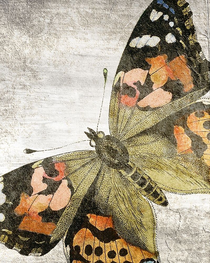 Vintage Butterfly 2 art print by Kimberly Allen for $57.95 CAD