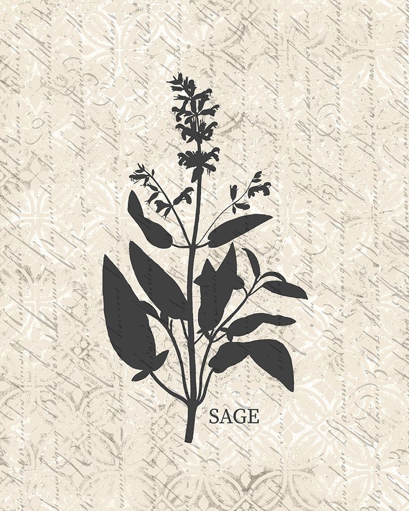 Fresh Sage art print by Kimberly Allen for $57.95 CAD