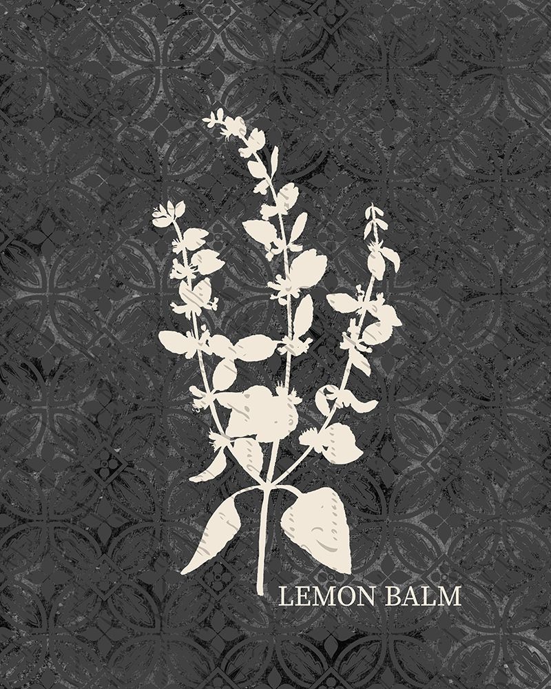 Fresh Lemon Balm art print by Kimberly Allen for $57.95 CAD