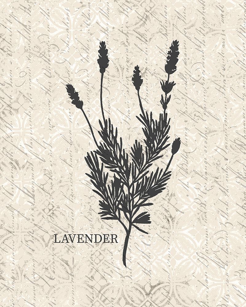 Fresh Lavender art print by Kimberly Allen for $57.95 CAD